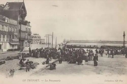 Frankreich - Le Treport - Frankreich - Poissonnerie