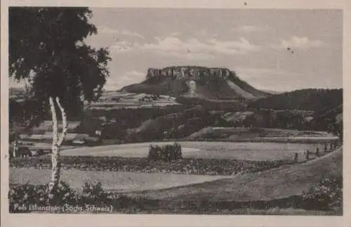 Sächsische Schweiz - Fels Lilienstein - 1960