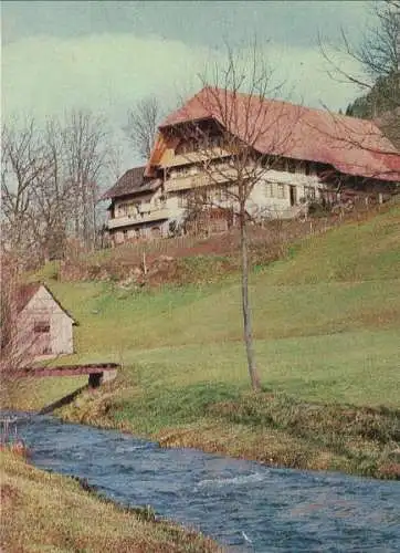 Zell - Nordrachtal