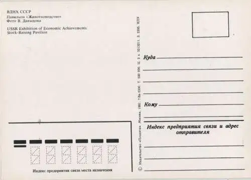 unbekannter Ort - Stock Raising Pavilion