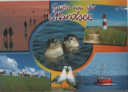 Nordsee - mit 5 Bildern - 2011