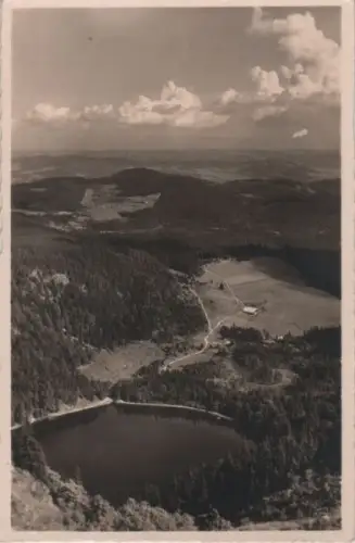 Feldsee - Blick v. Seebuck - ca. 1955