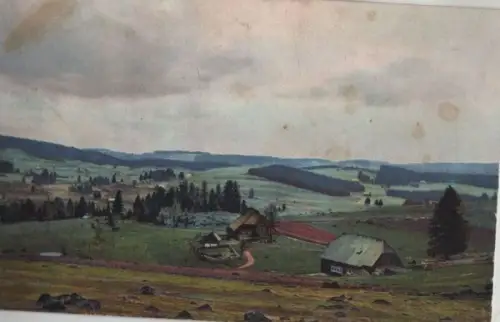 Schwarzwald - Schönwald - ca. 1930