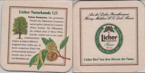 Bierdeckel quadratisch - Licher