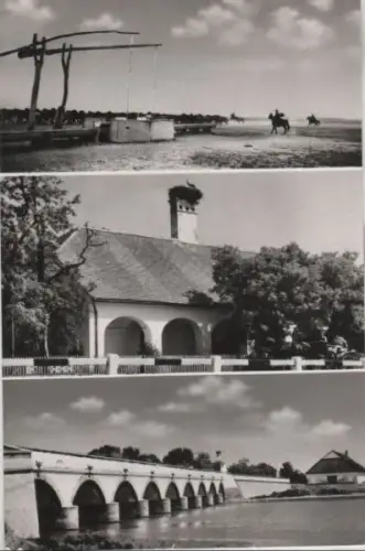 Ungarn - Ungarn - Hortobagy - 3 Teilbilder - 1971