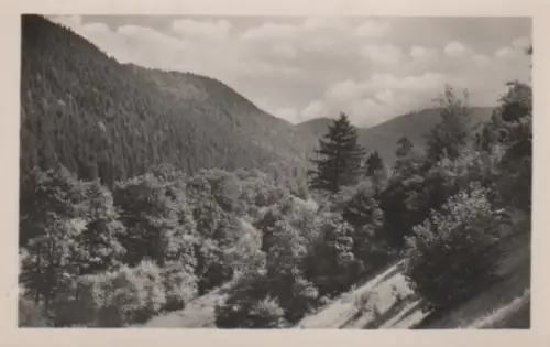 Tal im Wald - ca. 1955