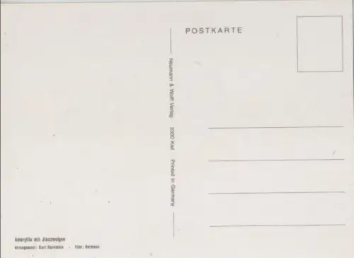 Amaryllis Arrangement