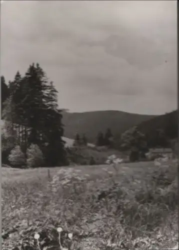 Wald und Wiese - 1989