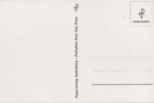 blühende Blumen schwarzweiß