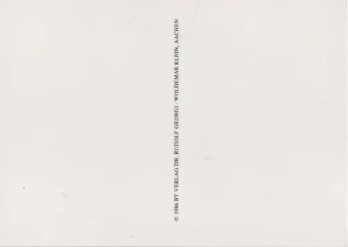 Rosa Muscosa alba blühend