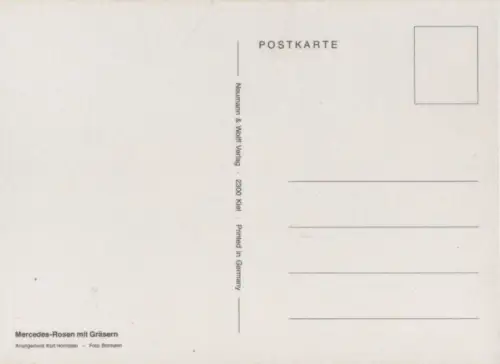 Mercedes-Rosen mit Gräsern Arrangement