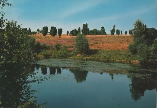 Lüneburger Heide - ca. 1980
