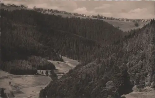 Frauenwald - aus der Ferne