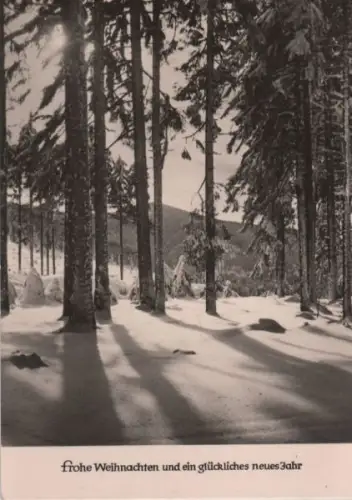 Frohe Weihnachten Winterwald