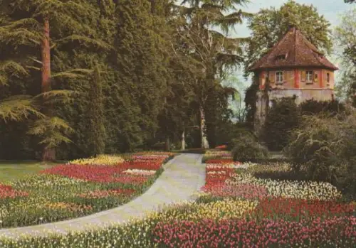 Mainau - Tulpen beim Wehrturm - ca. 1975