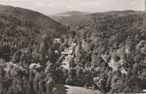 Bad Wildungen - Helenental - 1956
