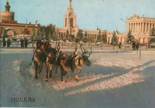 Russland - Moskau - Russland - Schlittenfahrt