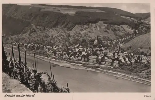 Briedel - 1955