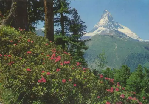 Schweiz - Zermatt - Schweiz - Riffelalp