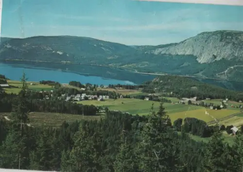 Norwegen - Fyresdal - Norwegen - Telemark