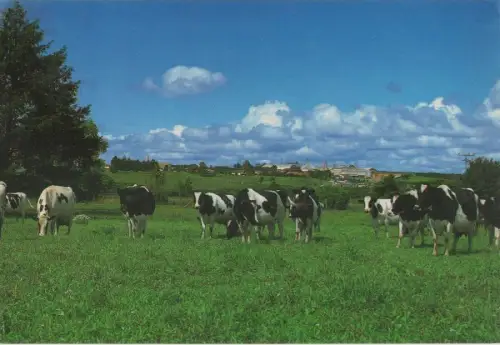 Brasilien - Brasilien (Sonstiges) - Brasilien - Castro - Parana
