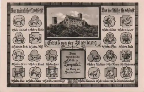 Wartburg Eisenach - männl. u. weibl. - 1957