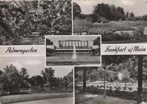 Frankfurter Allee (Berlin) - Palmengarten