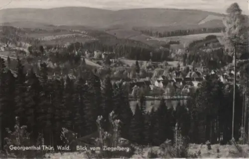 Georgenthal - Blick vom Ziegelberg