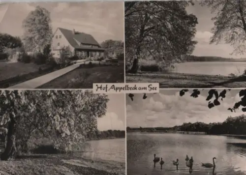 Hollenstedt - Hof Appelbeck - 1964