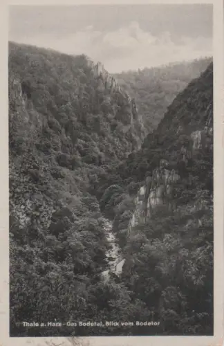 Thale - Blick vom Bodetor - 1963