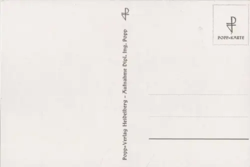 blühende Blumen in Vase