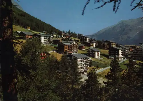 Schweiz - Saas-Fee - Schweiz - Wildi