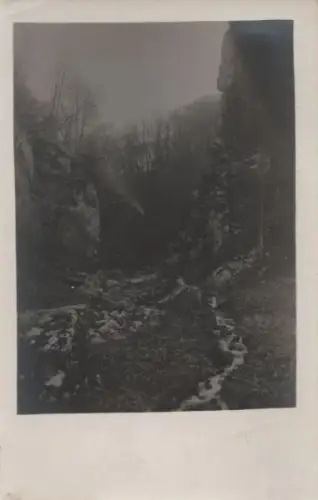 Bachstufen im Wald - ca. 1950