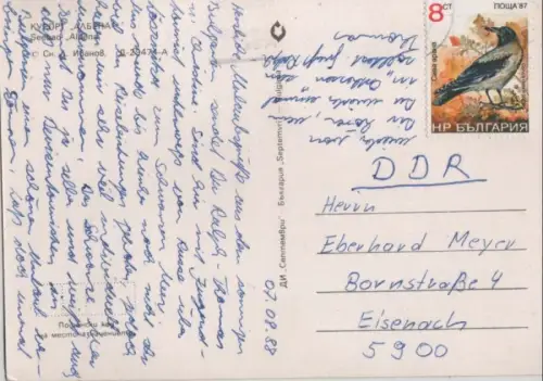 Bulgarien - Albena - Bulgarien - Segler