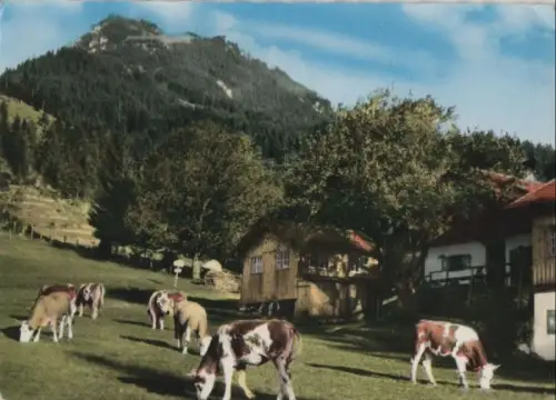 Fischbachau-Birkenstein - Schwaigeralm