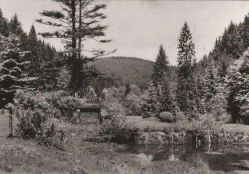 Tümpel im Waldtal - 1980