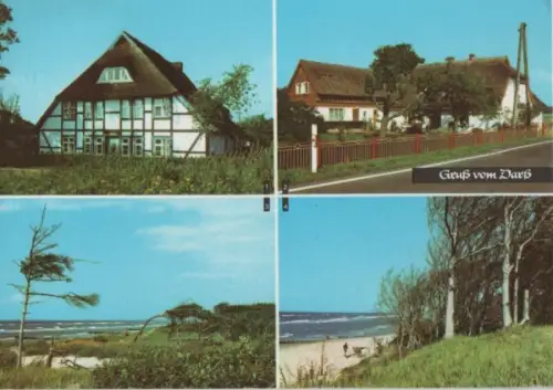 Darß - u.a. Weststrand  bei Born - 1981