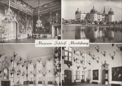 Moritzburg bei Dresden - Schloss