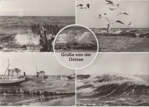 Ostsee - 5 Bilder