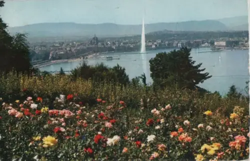 Schweiz - Genf - Schweiz - Le Lac