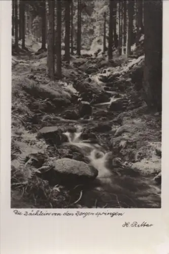 Die Bächlein von den Bergen springen