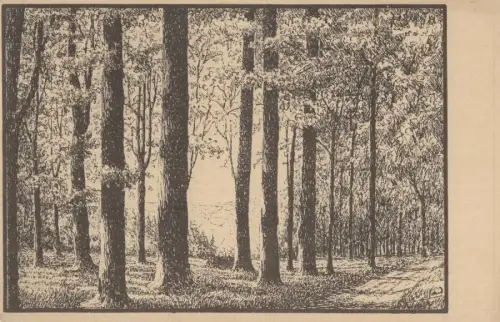 Olbernhau - Andacht in den heiligen hallen