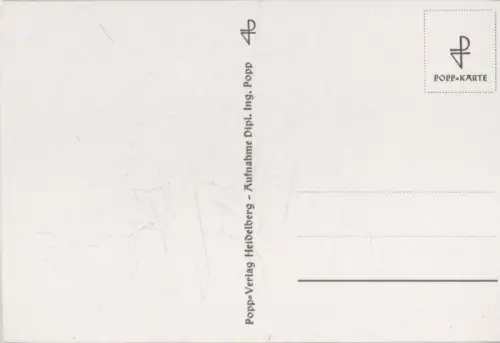 zwei Rosen schwarzweiß