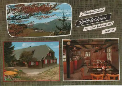 Münstertal-Untermünstertal - Almgaststätte Kälbelescheuer - ca. 1975