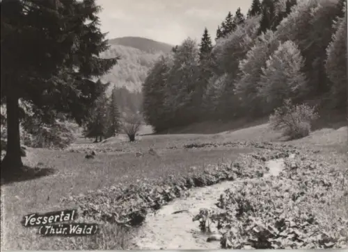 Vessertal - Thüringer Wald