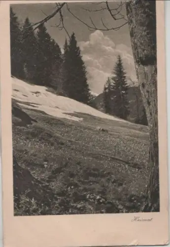 Schweiz - Schweiz - Schiers - Heimat - ca. 1950