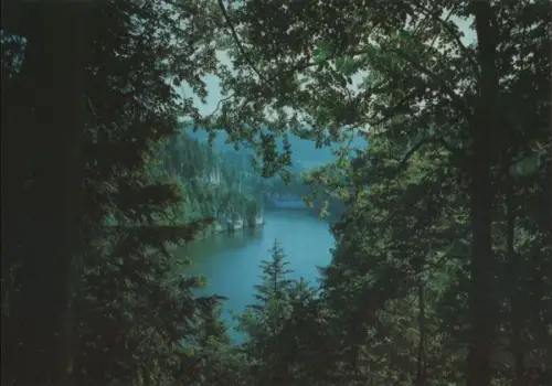 Schweiz - Schweiz - Doubs - Bassins - ca. 1980