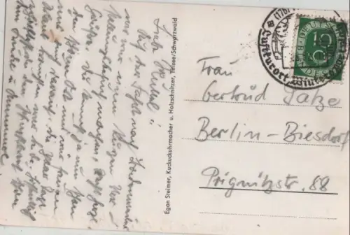 Titisee - Draufsicht