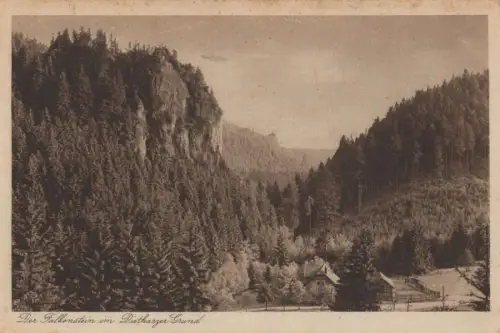 Falkenstein - vom Dietarzer Grund