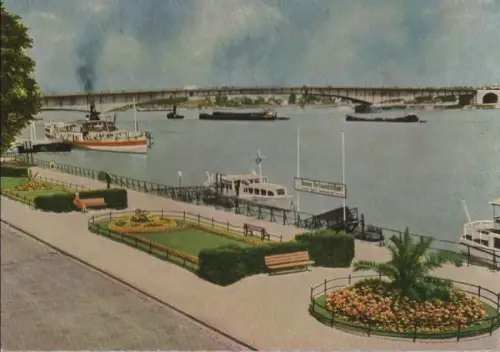 Bonn - Rheinpanorama - ca. 1970